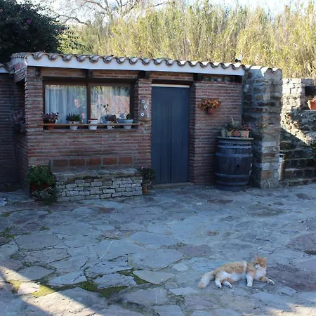 Casa Juan - Andaluciaholidays - T5 Tarifa