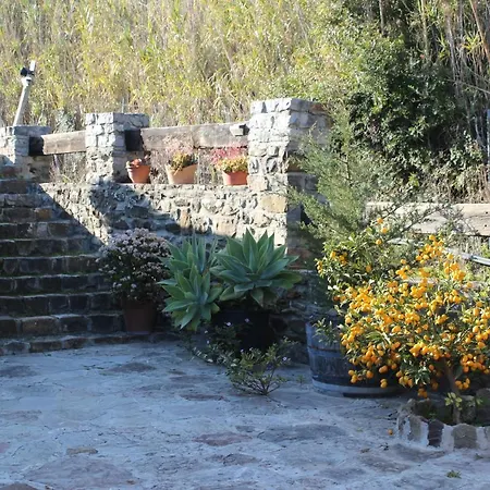 Casa Juan - Andaluciaholidays - T5 * Tarifa